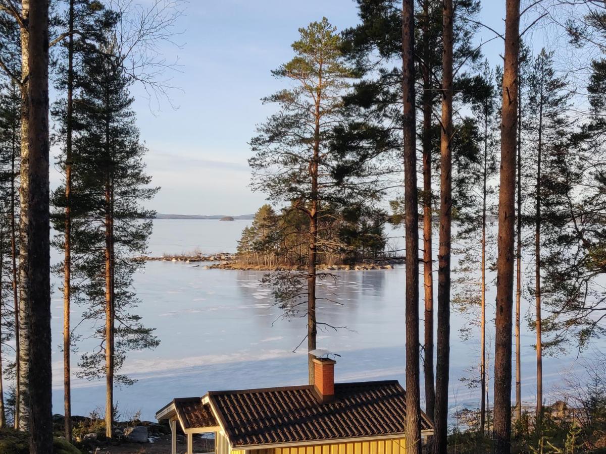 Jaenisvaara Chalet Koli (Lieksa)