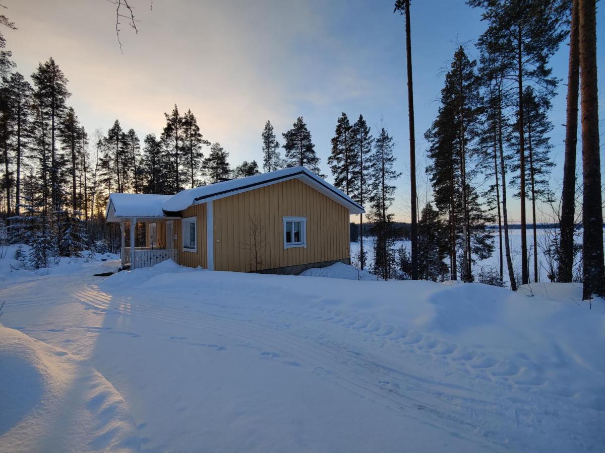 Jaenisvaara Chalet *