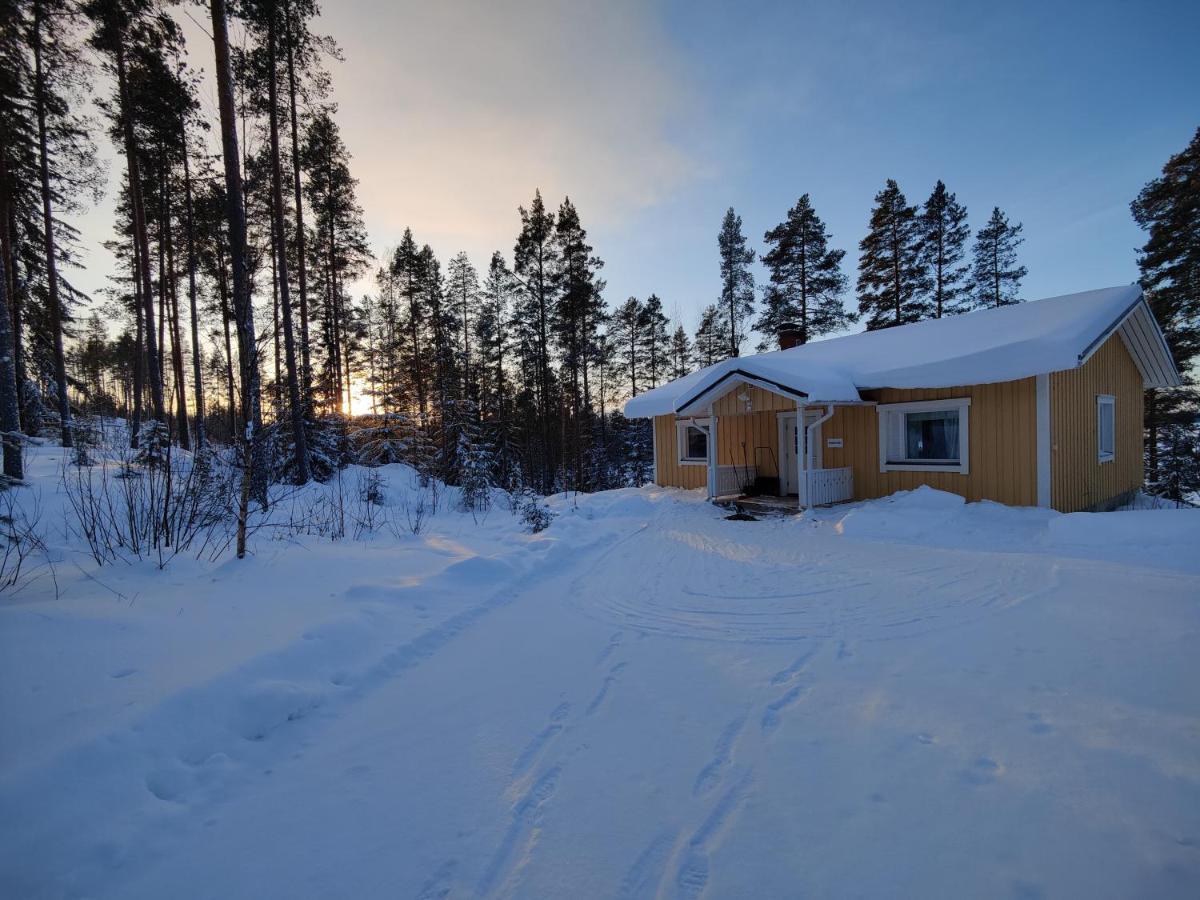 Jaenisvaara Chalet *