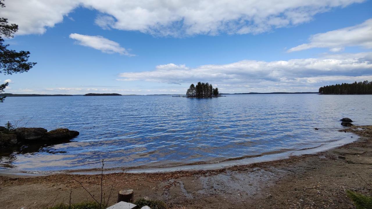 Chalet Jaenisvaara Koli (Lieksa)