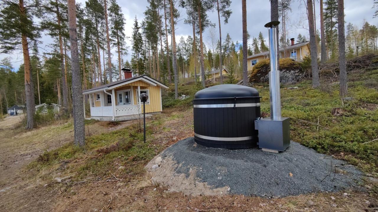 Jaenisvaara Koli (Lieksa)
