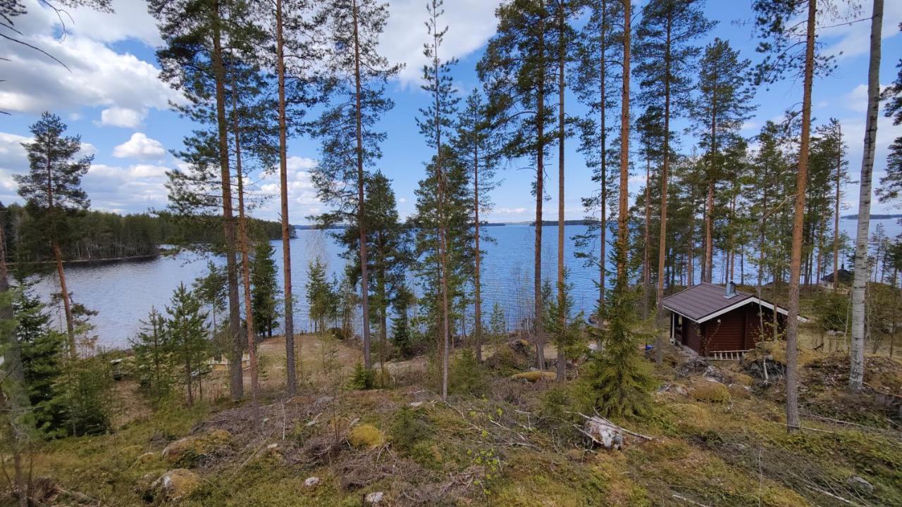 Chalet Jaenisvaara Koli (Lieksa)