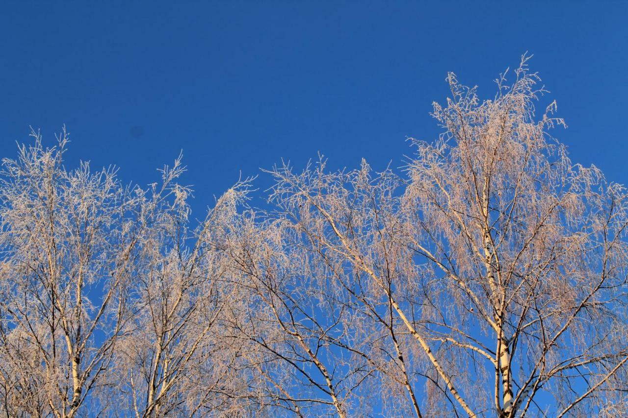 Jaenisvaara Lomamökit Kolin kylä