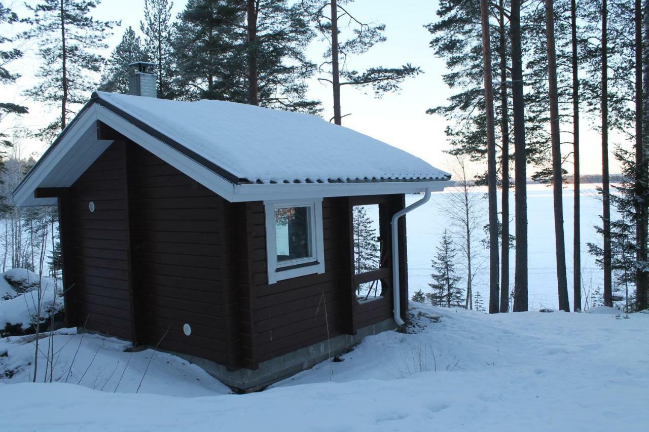 Chalet Jaenisvaara Koli (Lieksa)
