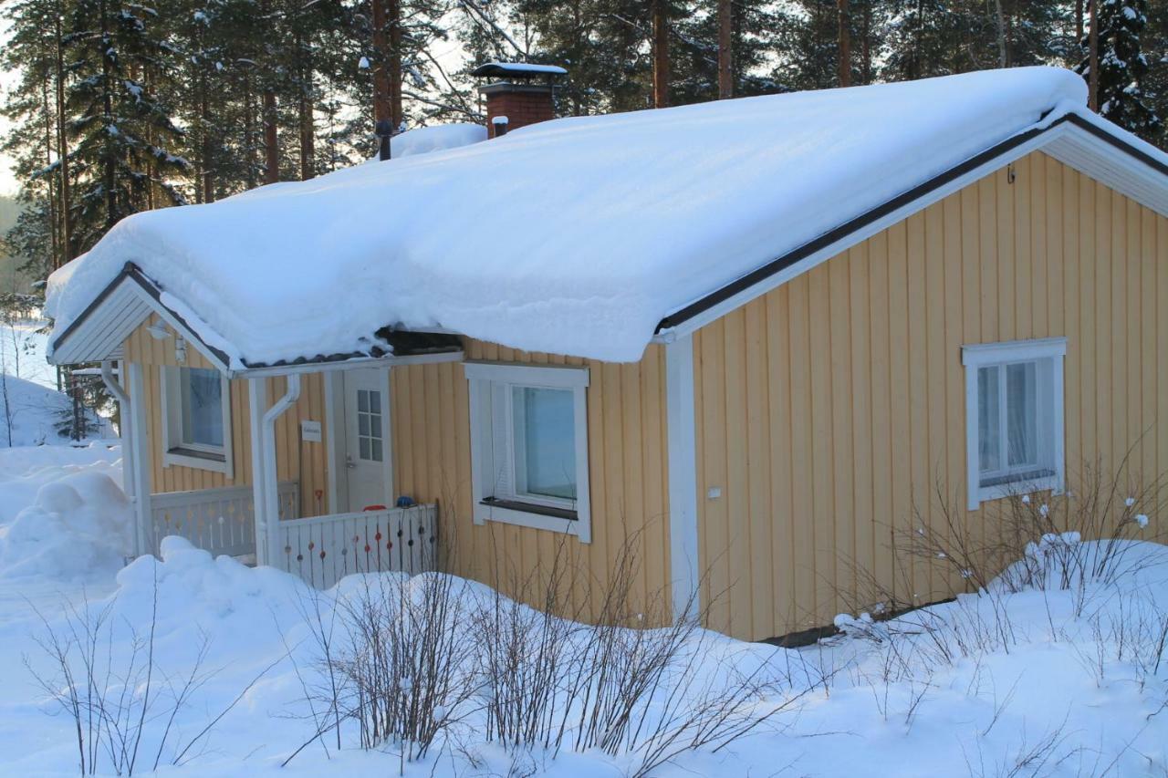 Jaenisvaara Chalet Koli (Lieksa)